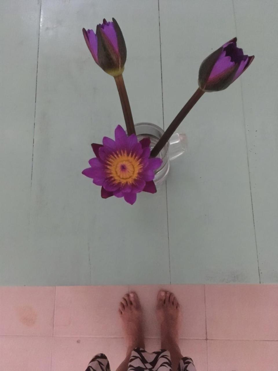 Layback Boutique Surf & Yoga Camp Sri Lanka Pansiyon Weligama Dış mekan fotoğraf