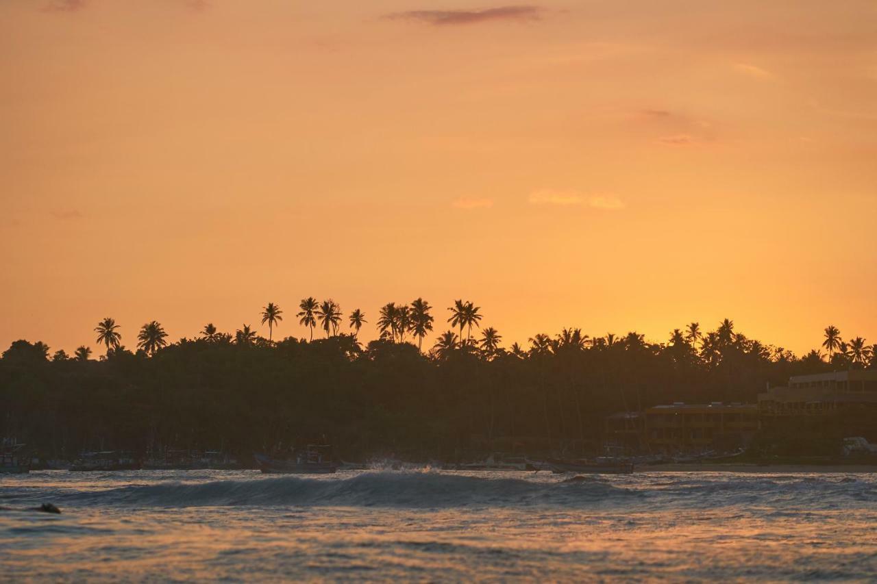 Layback Boutique Surf & Yoga Camp Sri Lanka Pansiyon Weligama Dış mekan fotoğraf
