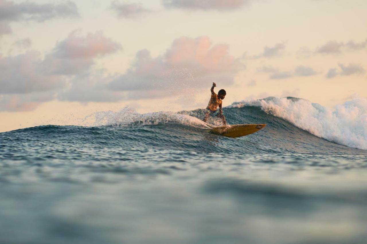 Layback Boutique Surf & Yoga Camp Sri Lanka Pansiyon Weligama Dış mekan fotoğraf